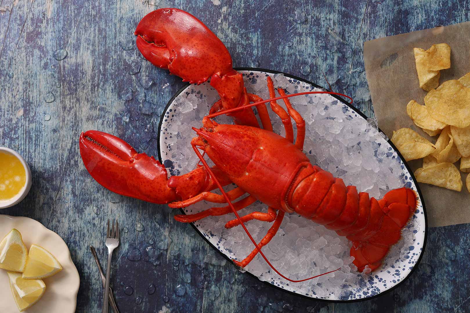 Maine Lobster 1.5lb (Hard Shell) - Pine Tree Seafood