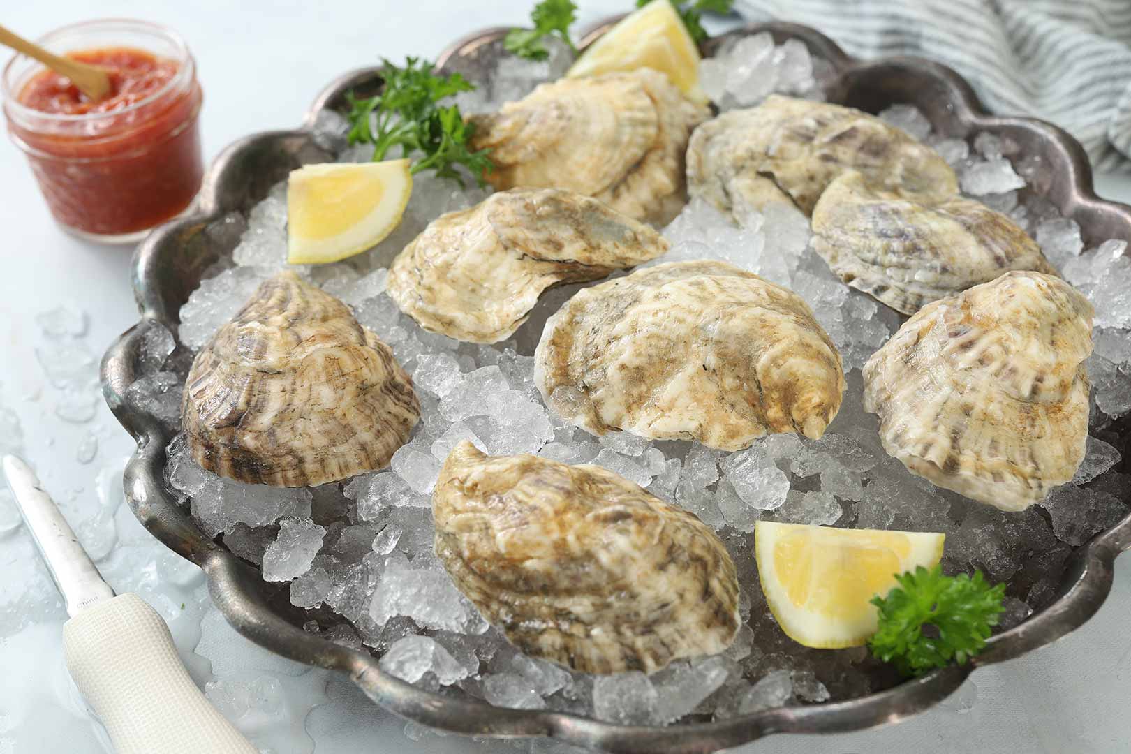 Fresh Maine Oysters