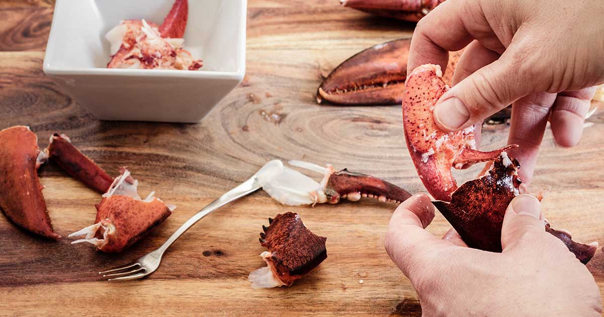 How to Open Lobster? 