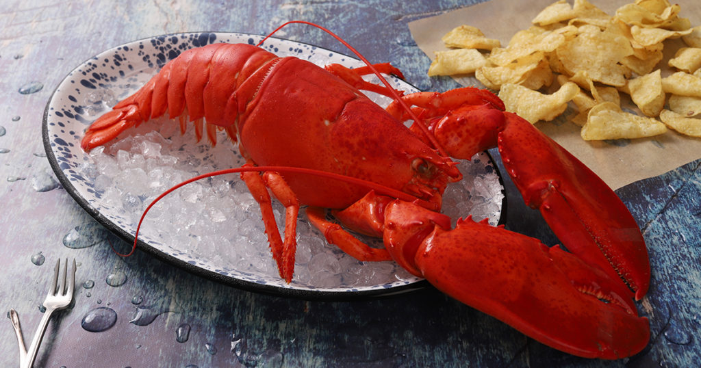 How to cook a Maine lobster