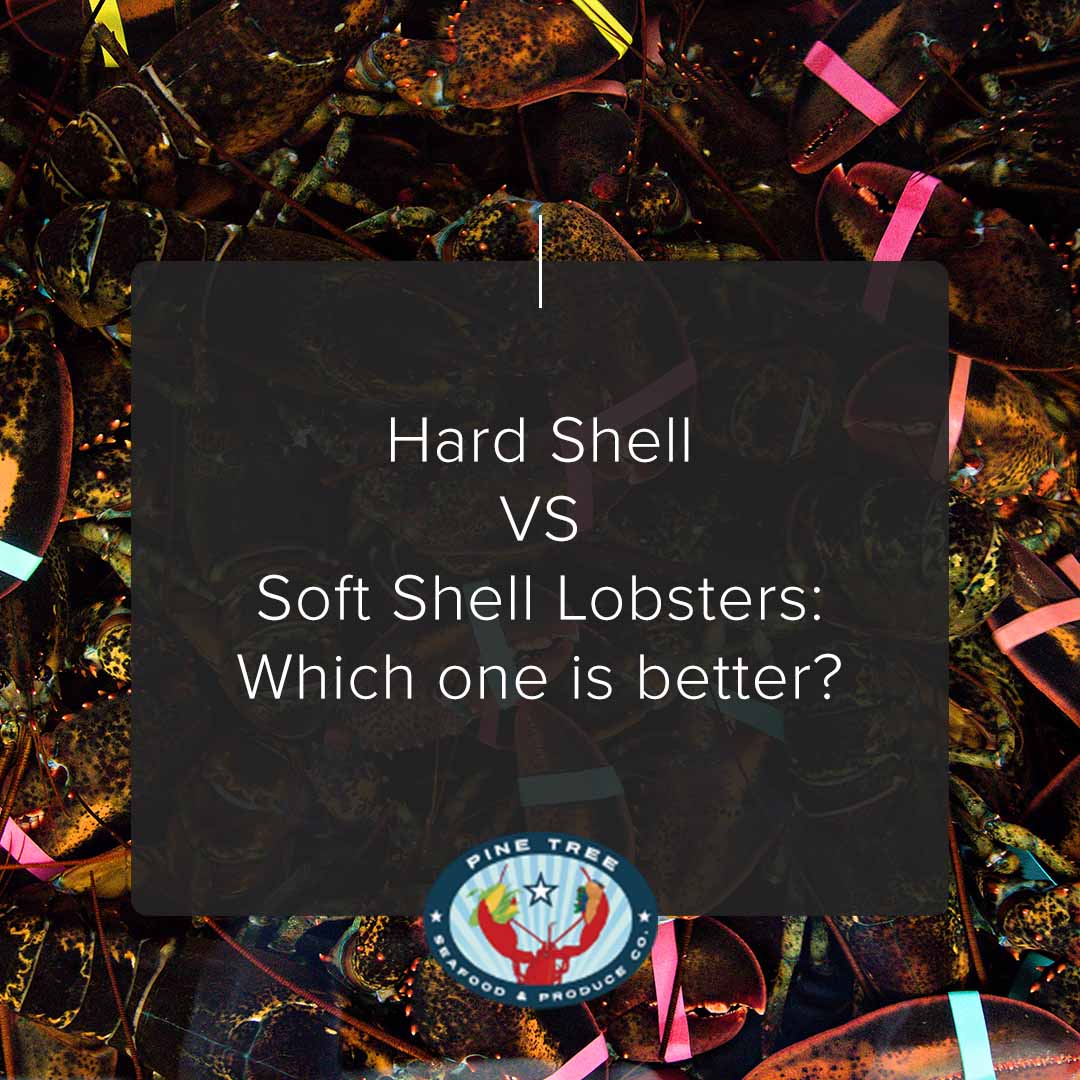 Hard Shell vs. Soft Shell Lobsters: Which is better?