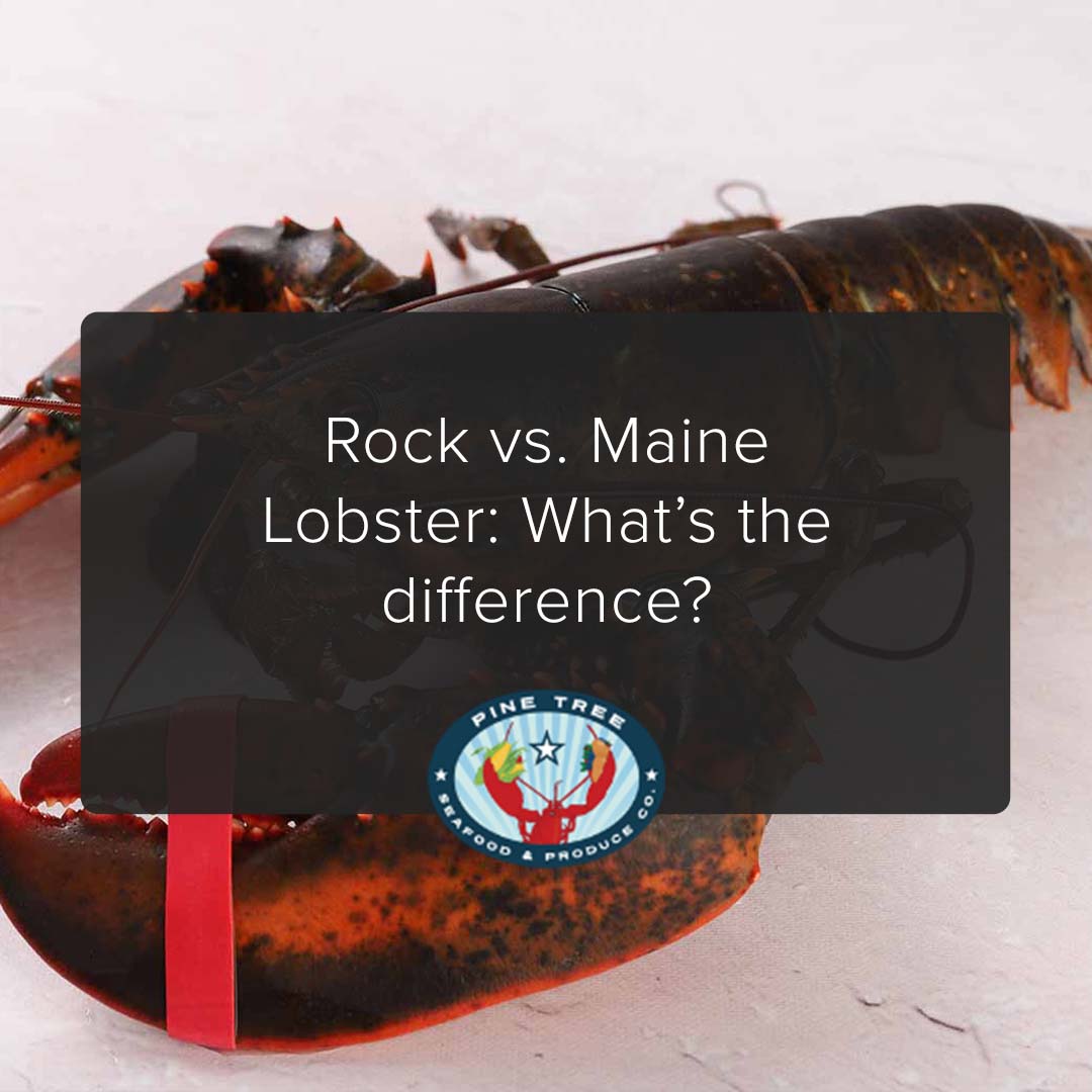 Rock vs. Maine Lobster: What’s the difference?