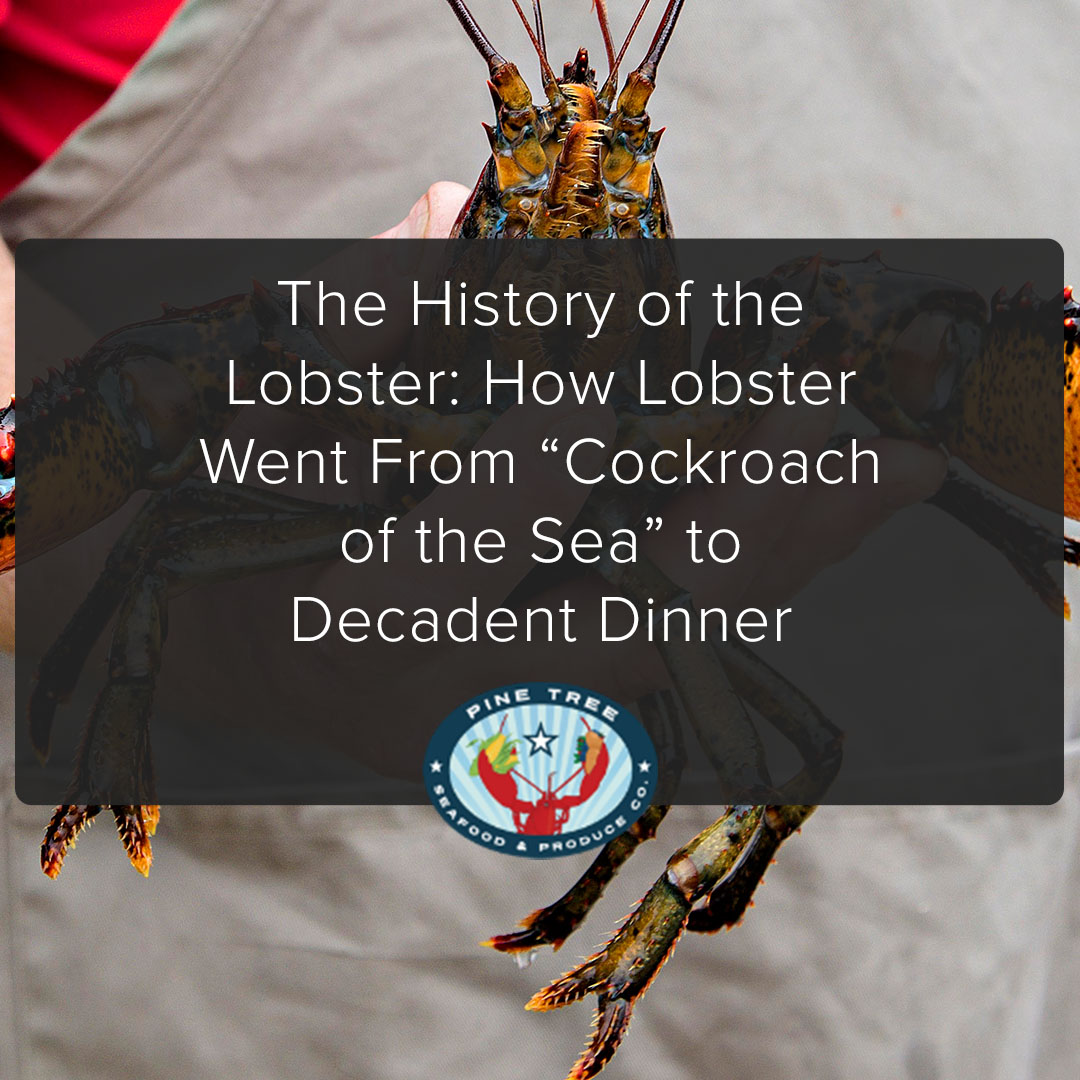 The History of the Lobster: How Lobster Went From “Cockroach of the Sea” to Decadent Dinner