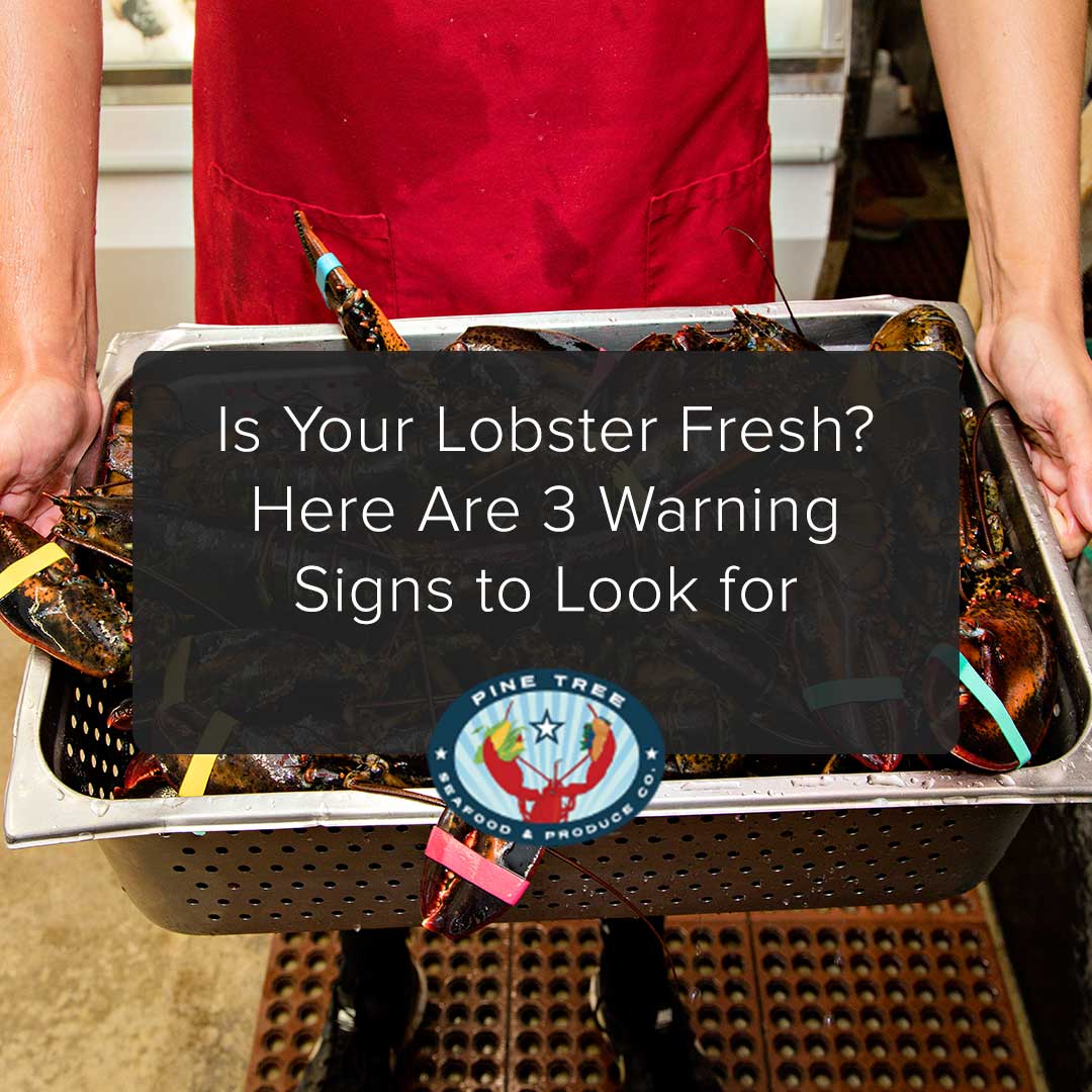 Is Your Lobster Fresh? Here Are 3 Warning Signs to Look for