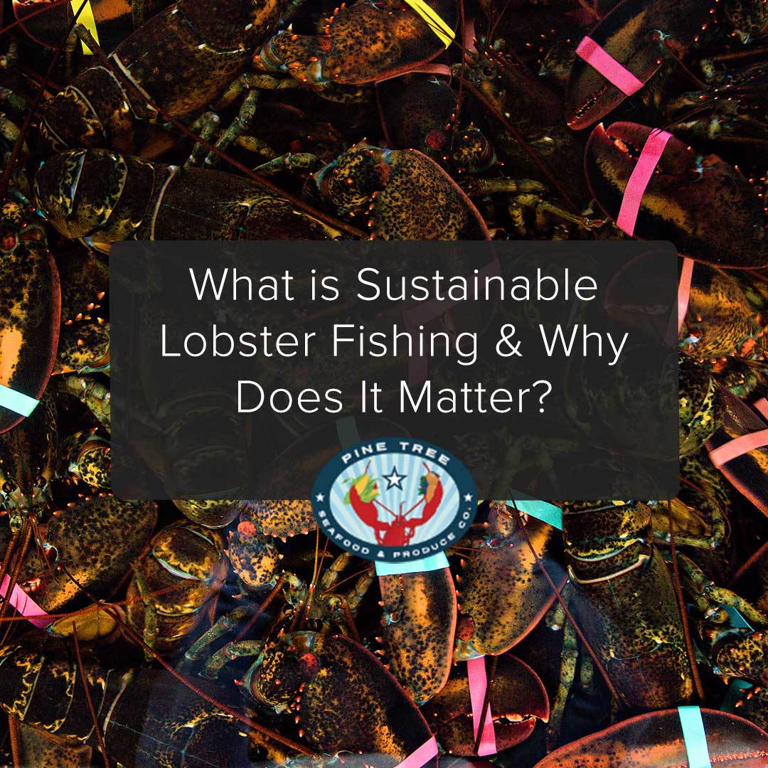 What is Sustainable Lobster Fishing & Why Does It Matter?