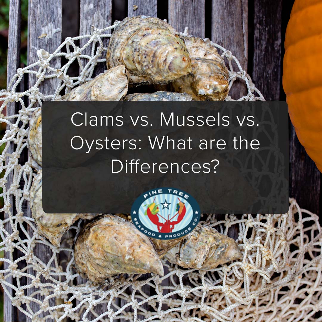 Clams vs. Mussels vs. Oysters: What are the Differences?