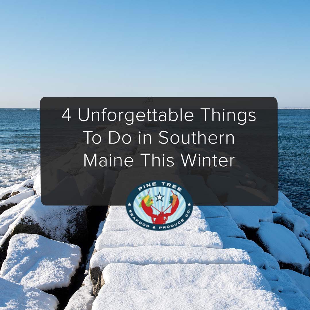4 Unforgettable Things To Do in Southern Maine This Winter