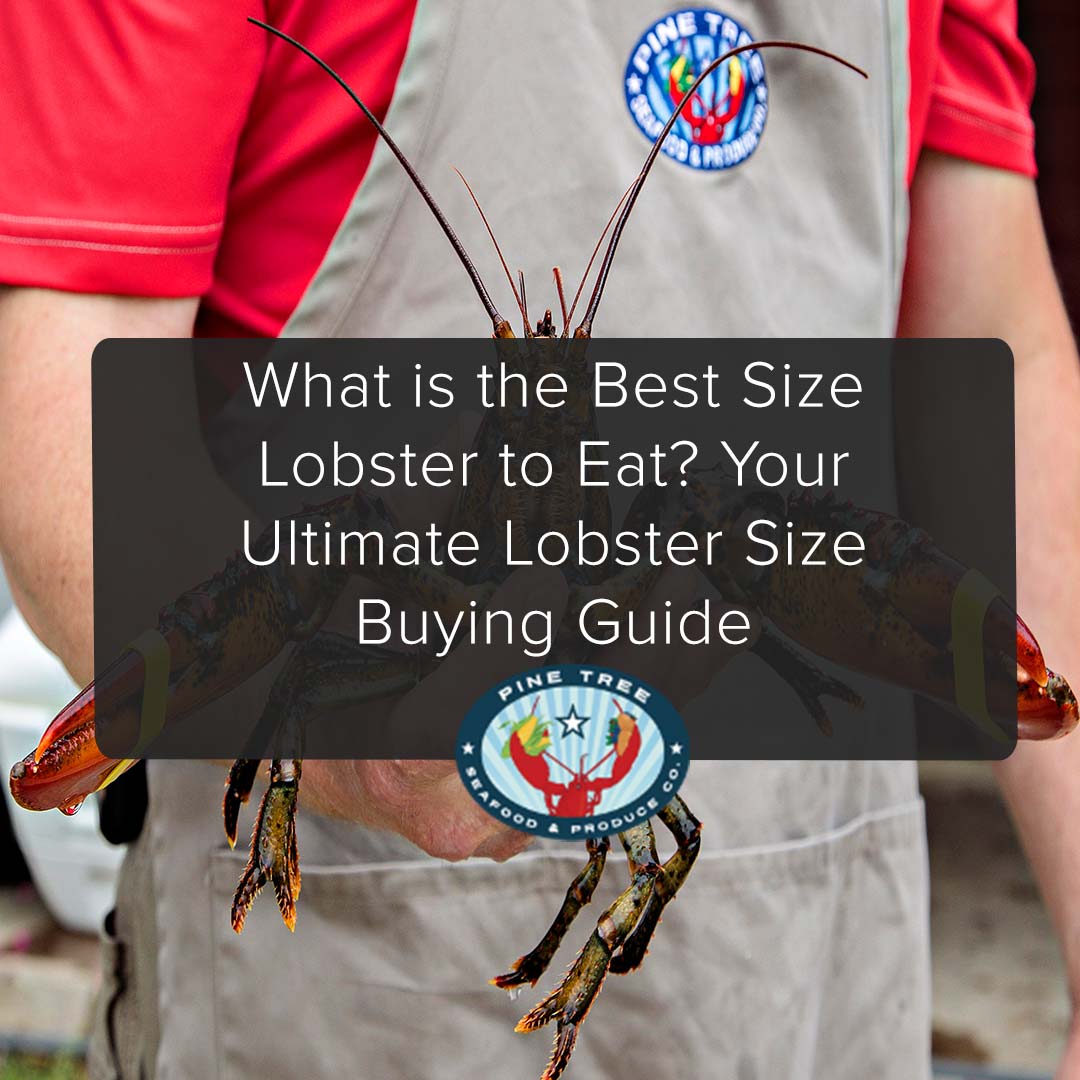 What is the Best Size Lobster to Eat? Your Ultimate Lobster Size Buying Guide